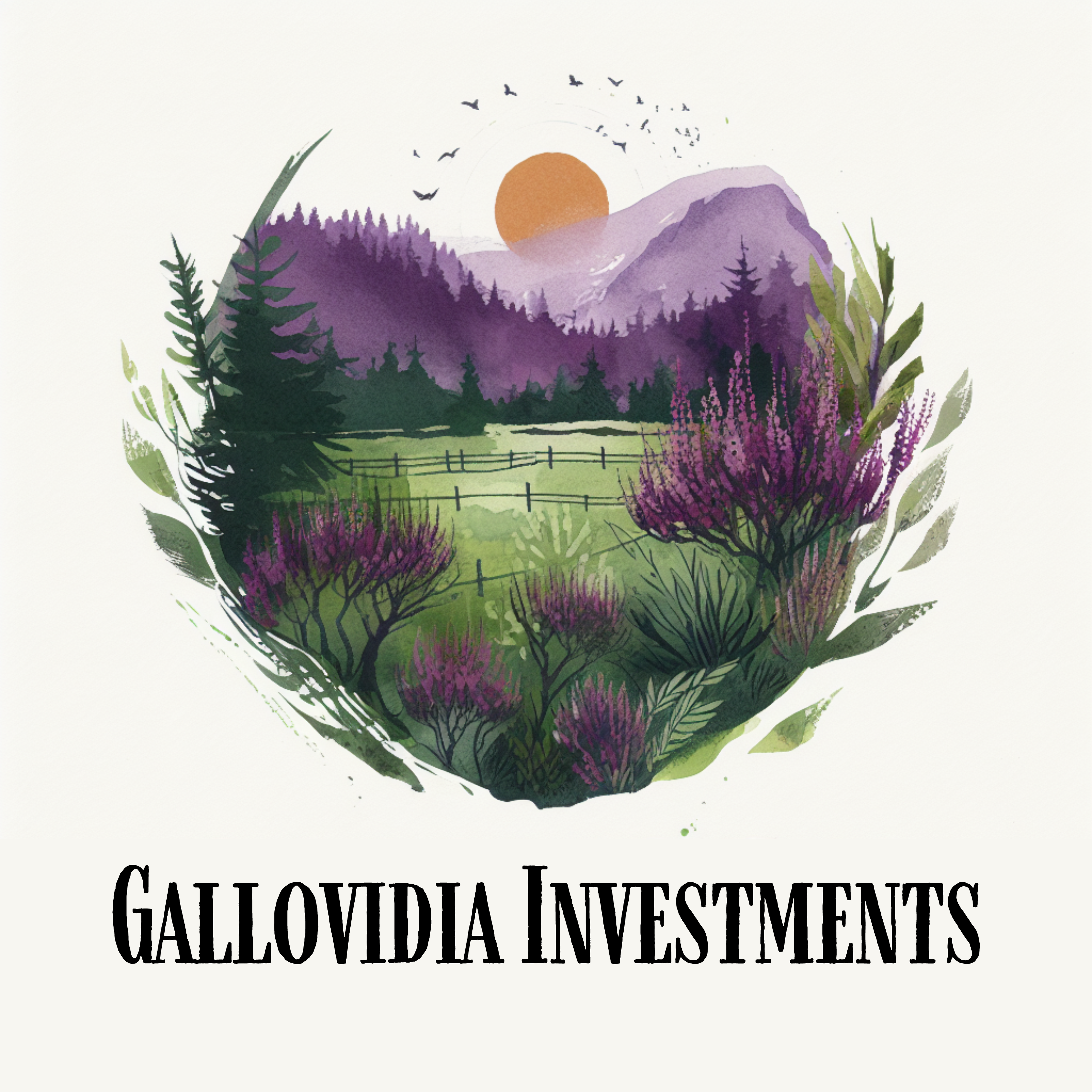 Gallovidia Investments Logo